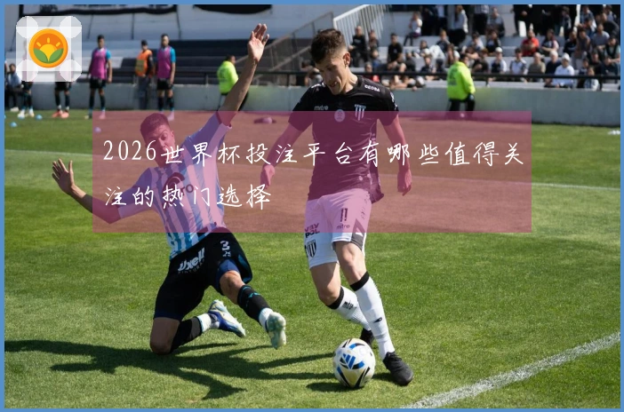 2026世界杯投注平台有哪些值得关注的热门选择