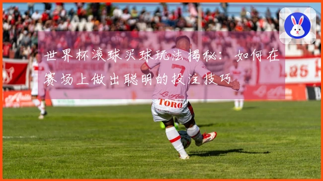 世界杯滚球买球玩法揭秘：如何在赛场上做出聪明的投注技巧