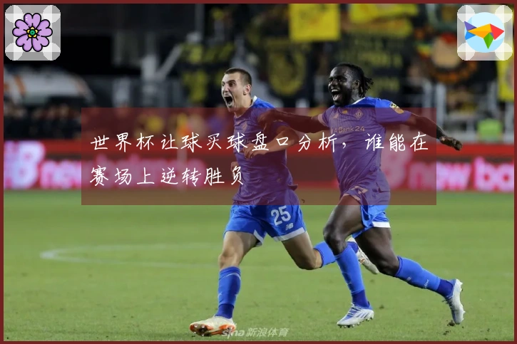 世界杯让球买球盘口分析,谁能在赛场上逆转胜负