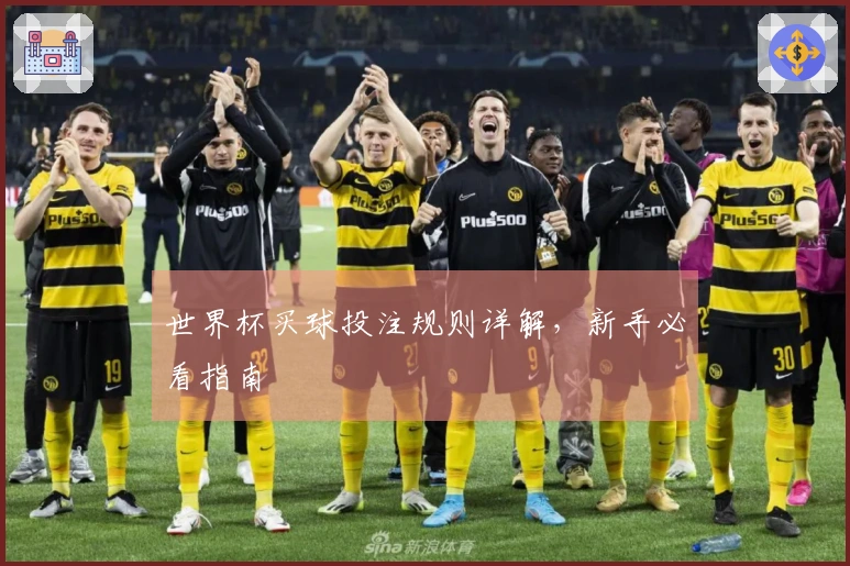 世界杯买球投注规则详解，新手必看指南