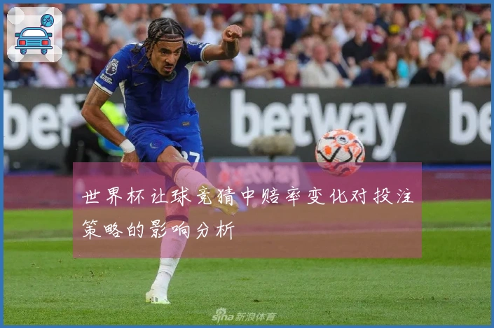 世界杯让球竞猜中赔率变化对投注策略的影响分析