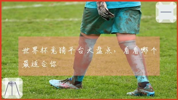 世界杯竞猜平台大盘点，看看哪个最适合你