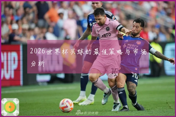 2026世界杯买球的最佳策略与市场分析