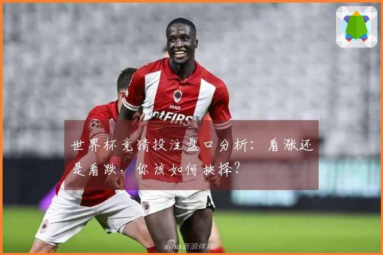 世界杯竞猜投注盘口分析：看涨还是看跌，你该如何抉择？