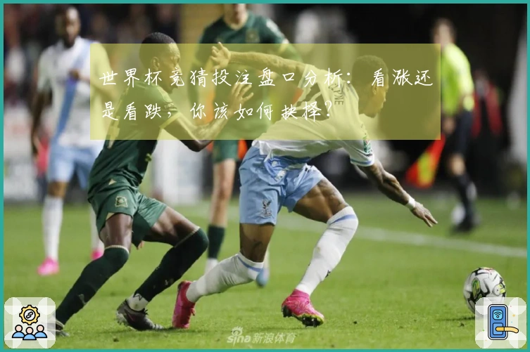 世界杯竞猜投注盘口分析:看涨还是看跌,你该如何抉择?