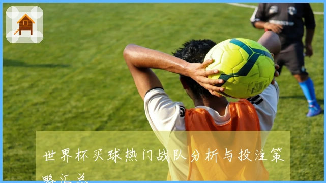 世界杯买球热门战队分析与投注策略汇总