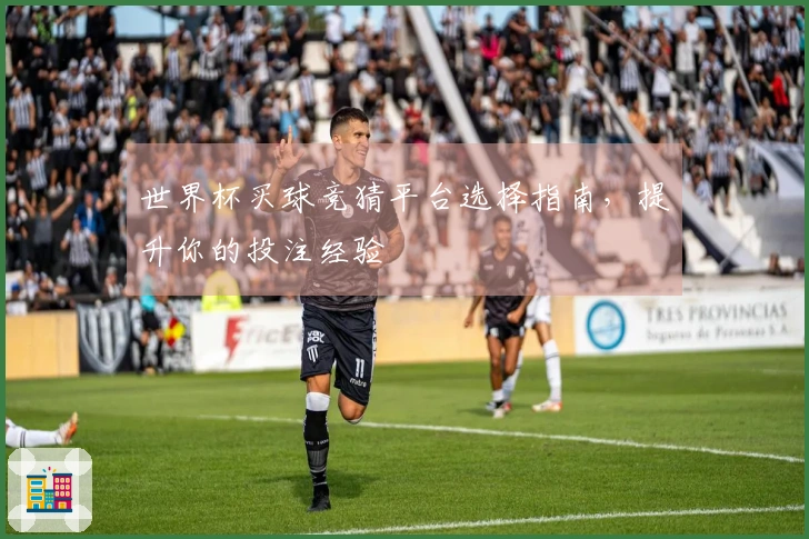 世界杯买球竞猜平台选择指南，提升你的投注经验