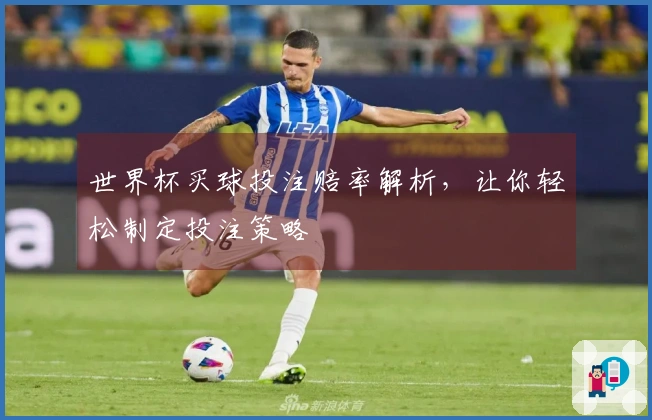 世界杯买球投注赔率解析,让你轻松制定投注策略