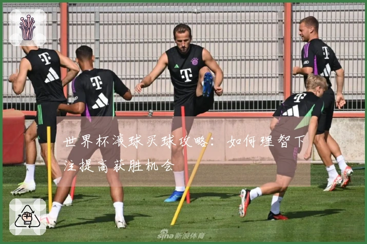 世界杯滚球买球攻略：如何理智下注提高获胜机会
