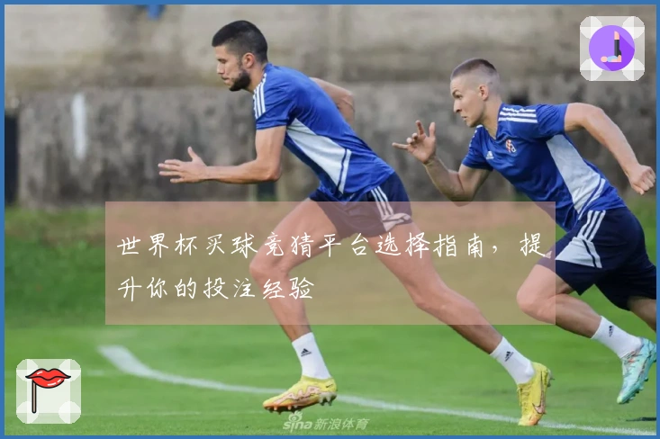 世界杯买球竞猜平台选择指南，提升你的投注经验