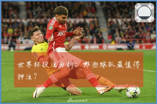 世界杯投注分析：哪些球队最值得押注？