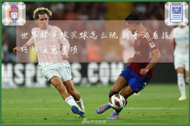 世界杯滚球买球怎么玩 新手必看技巧与注意事项