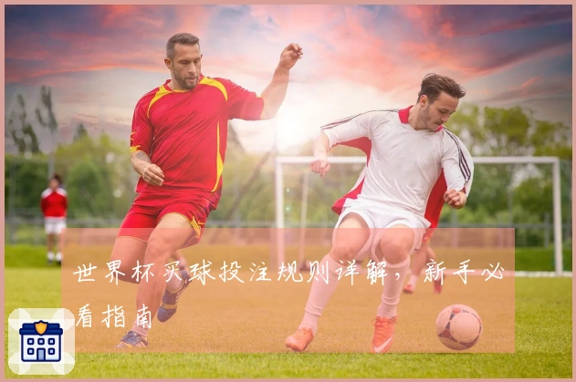 世界杯买球投注规则详解，新手必看指南