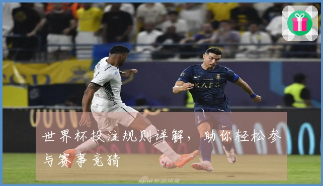 世界杯投注规则详解，助你轻松参与赛事竞猜