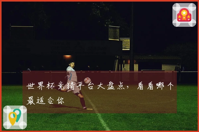 世界杯竞猜平台大盘点，看看哪个最适合你