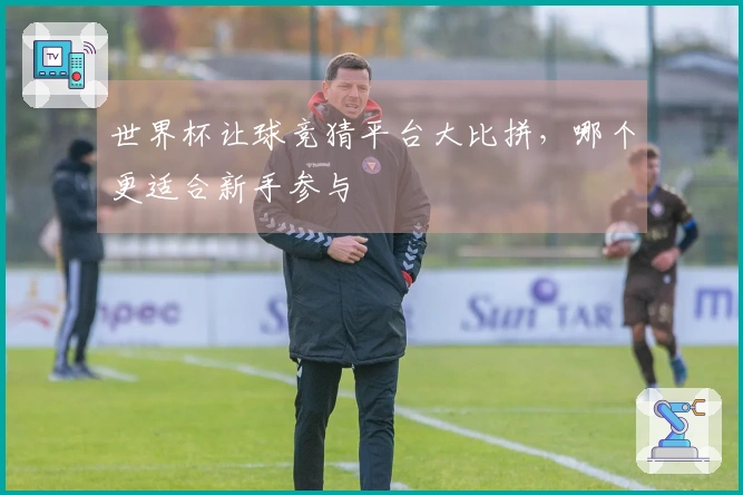 世界杯让球竞猜平台大比拼，哪个更适合新手参与