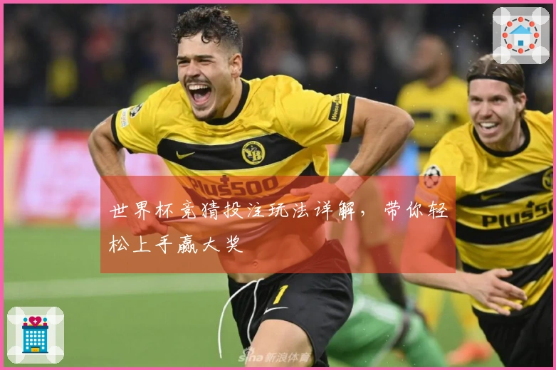 世界杯竞猜投注玩法详解，带你轻松上手赢大奖
