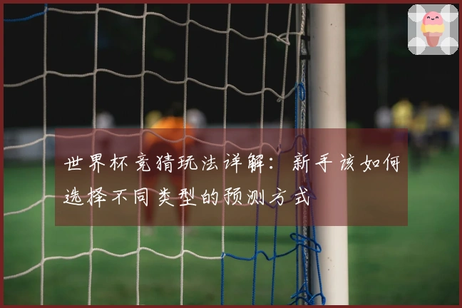 世界杯竞猜玩法详解：新手该如何选择不同类型的预测方式