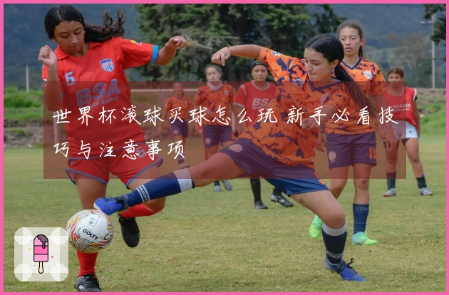 世界杯滚球买球怎么玩 新手必看技巧与注意事项